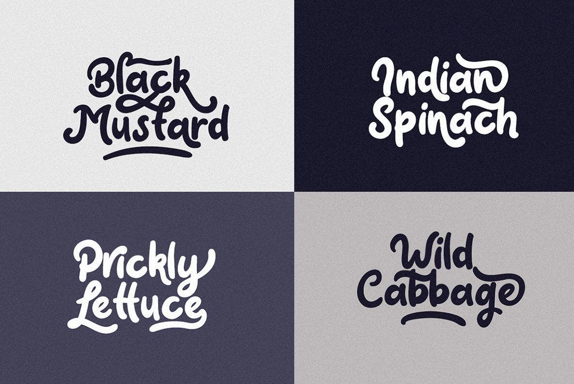 Claytonia Bold Script Claytonia Bold Script