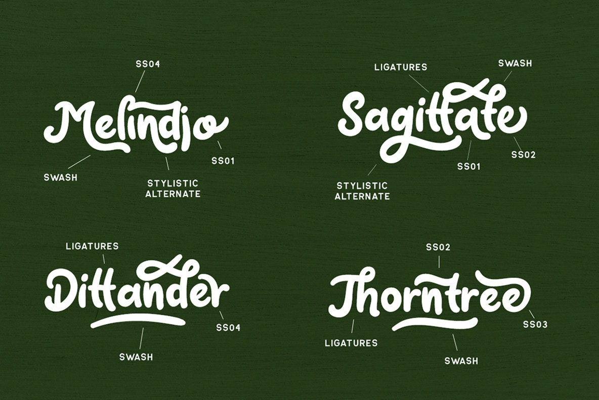 Claytonia Bold Script Claytonia Bold Script