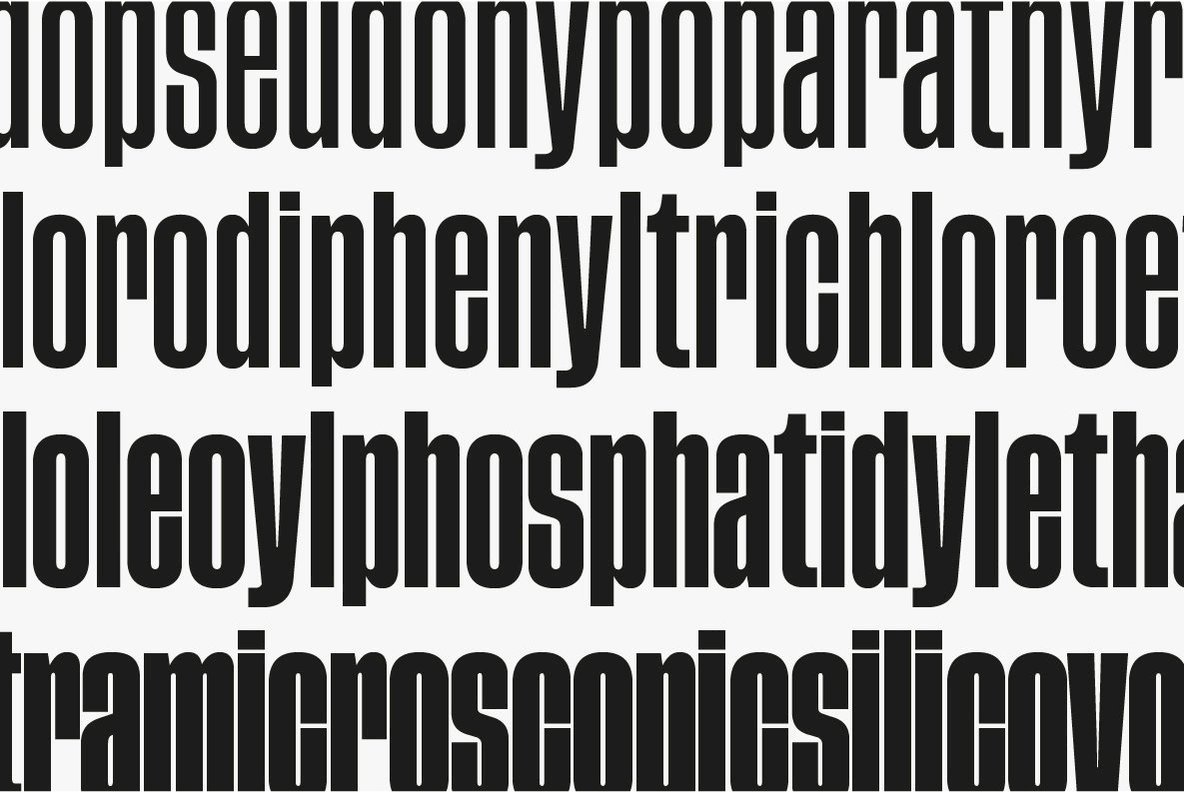 Tusker Grotesk Tusker Grotesk