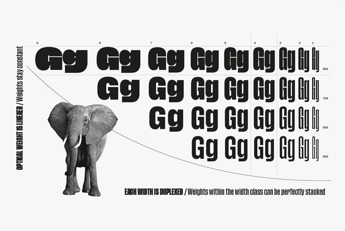 Tusker Grotesk Tusker Grotesk