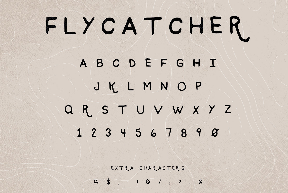 Flycatcher 3