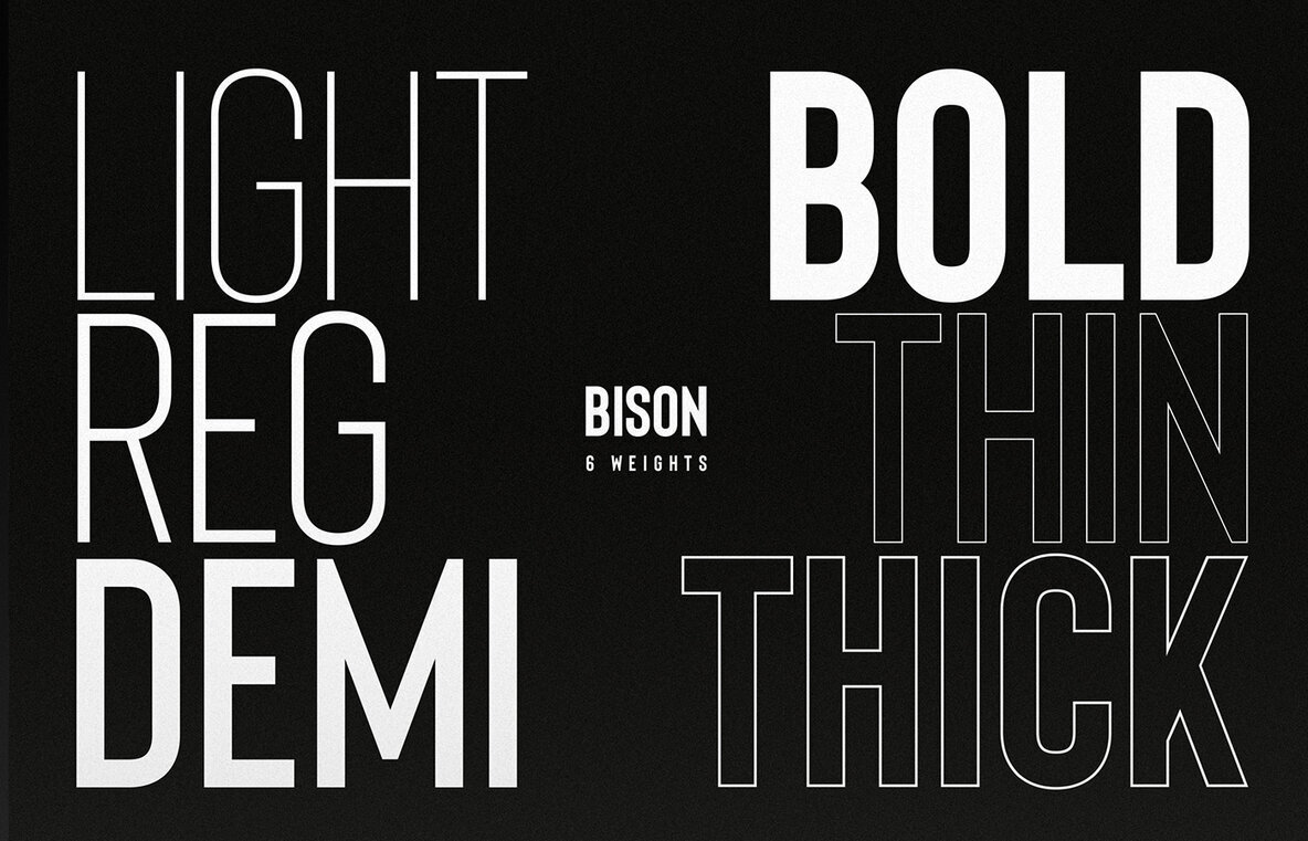 Bison Bison