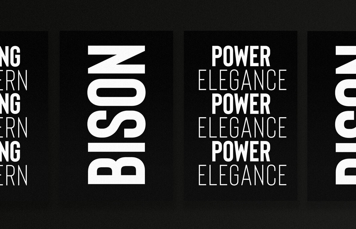Bison Bison