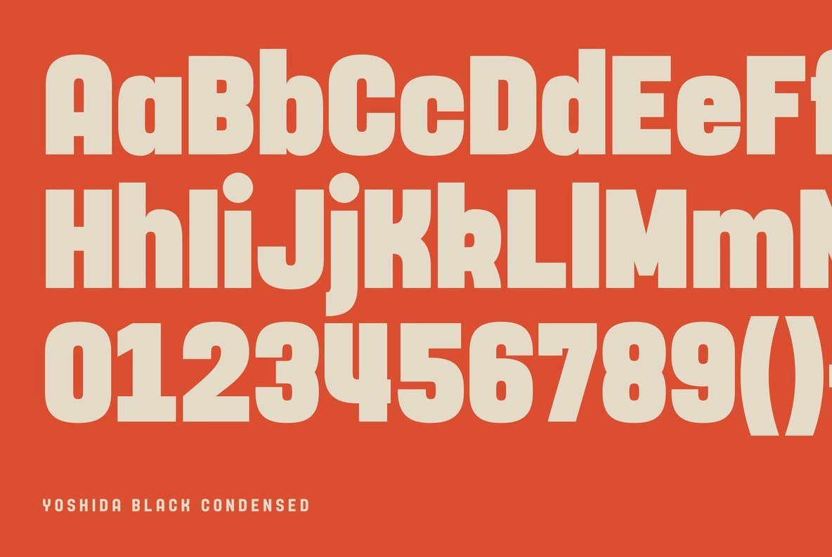 Yoshida Sans 3