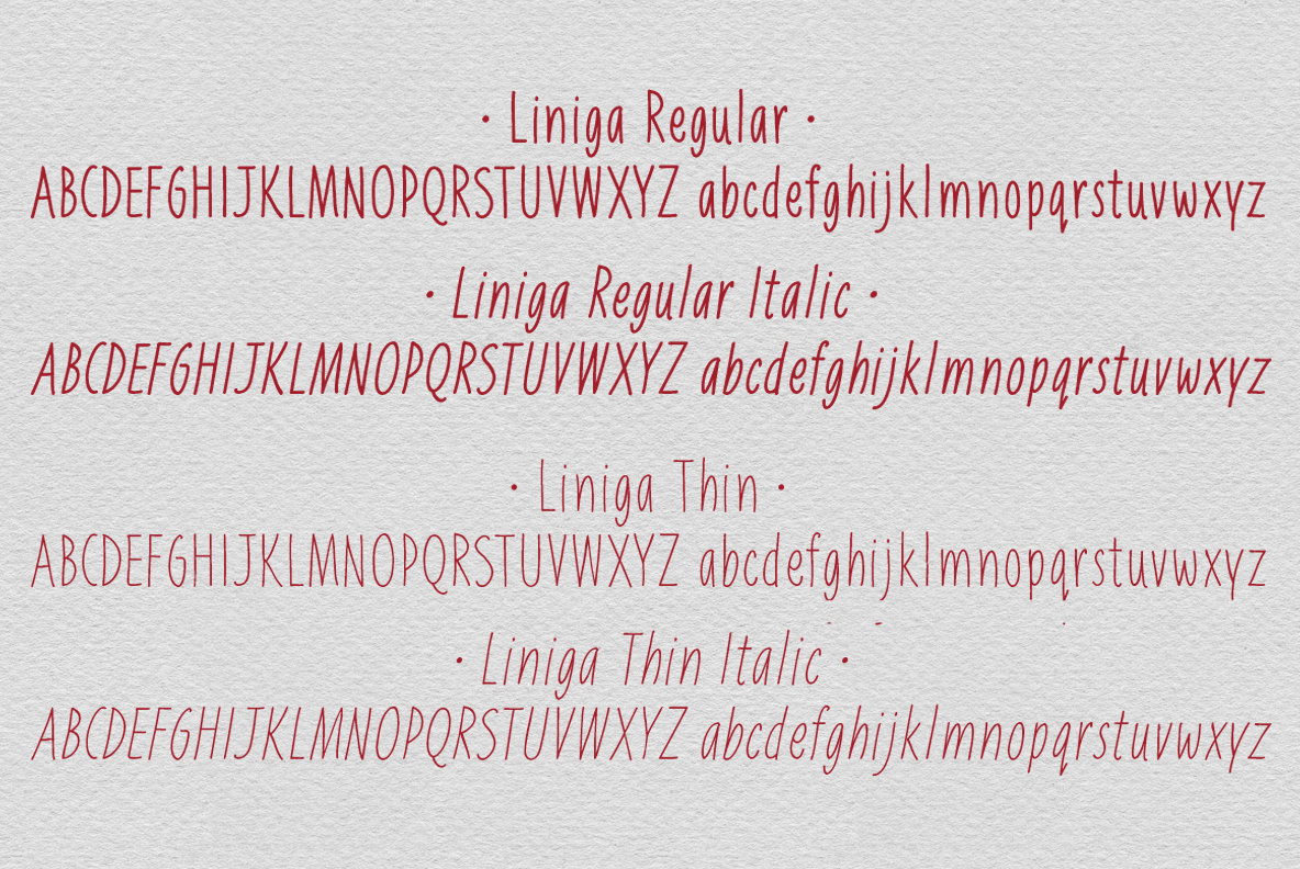 Liniga 3