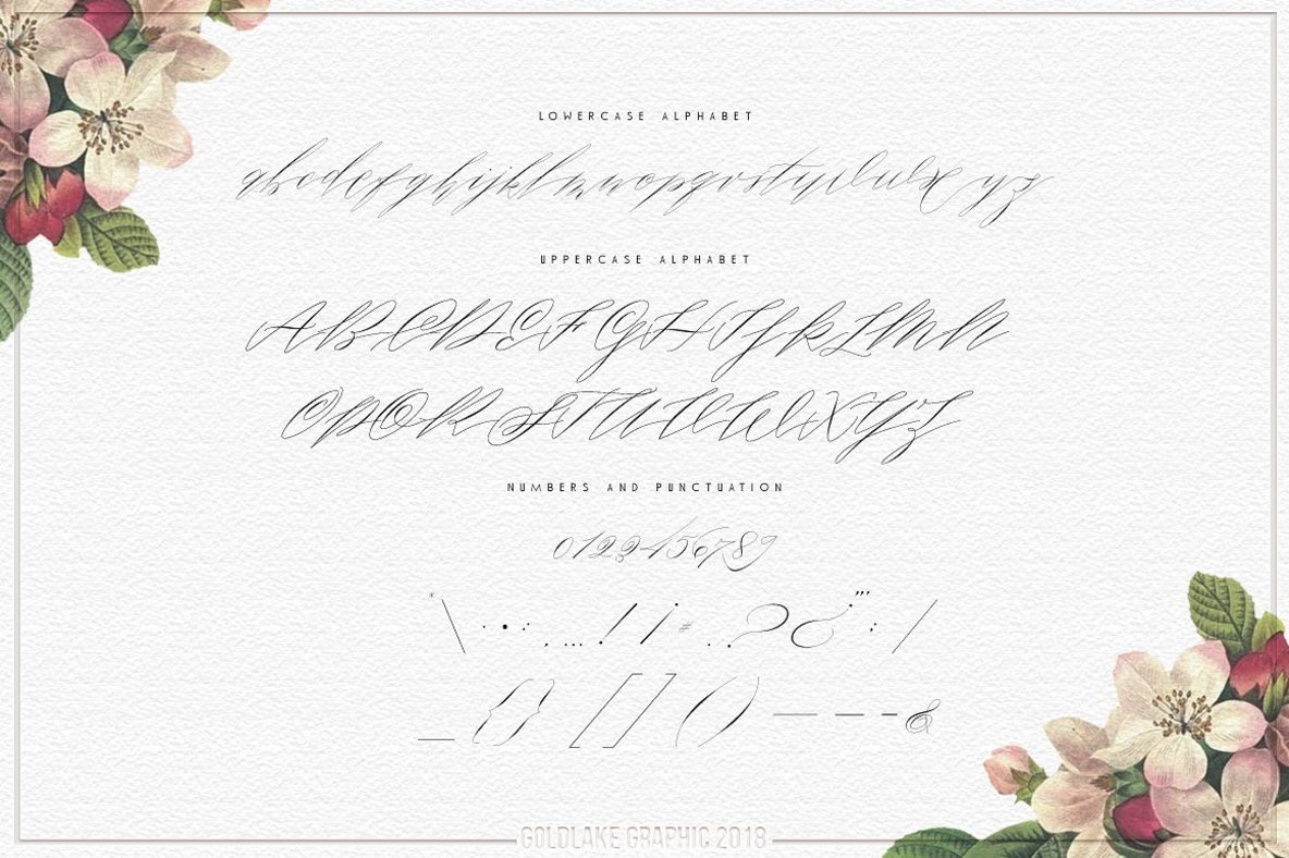 Roosy Script Roosy Script