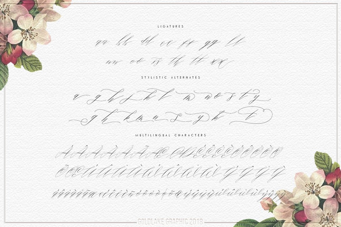 Roosy Script Roosy Script