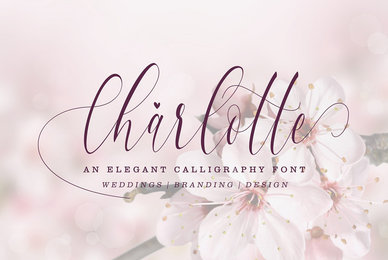 Charlotte Calligraphy