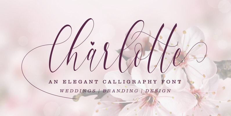 Charlotte Calligraphy