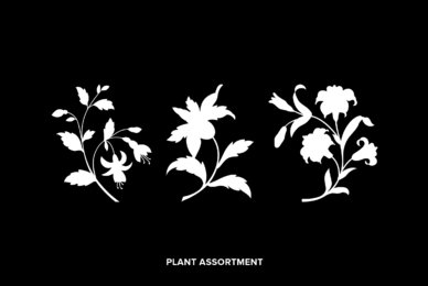 Plant Assortment