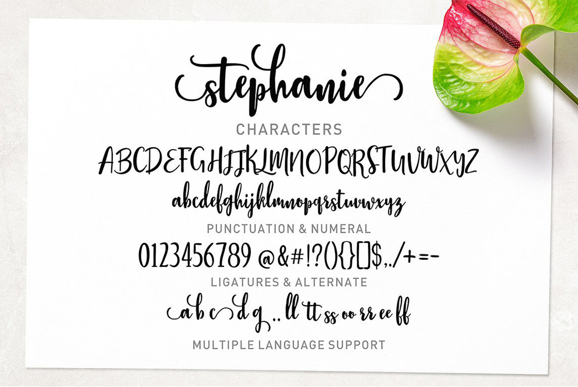 Stephanie Stephanie