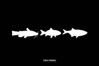 Fish Fresh