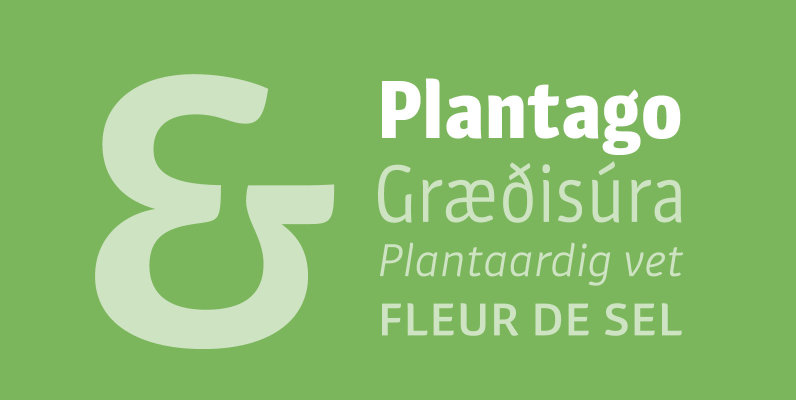 Plantago
