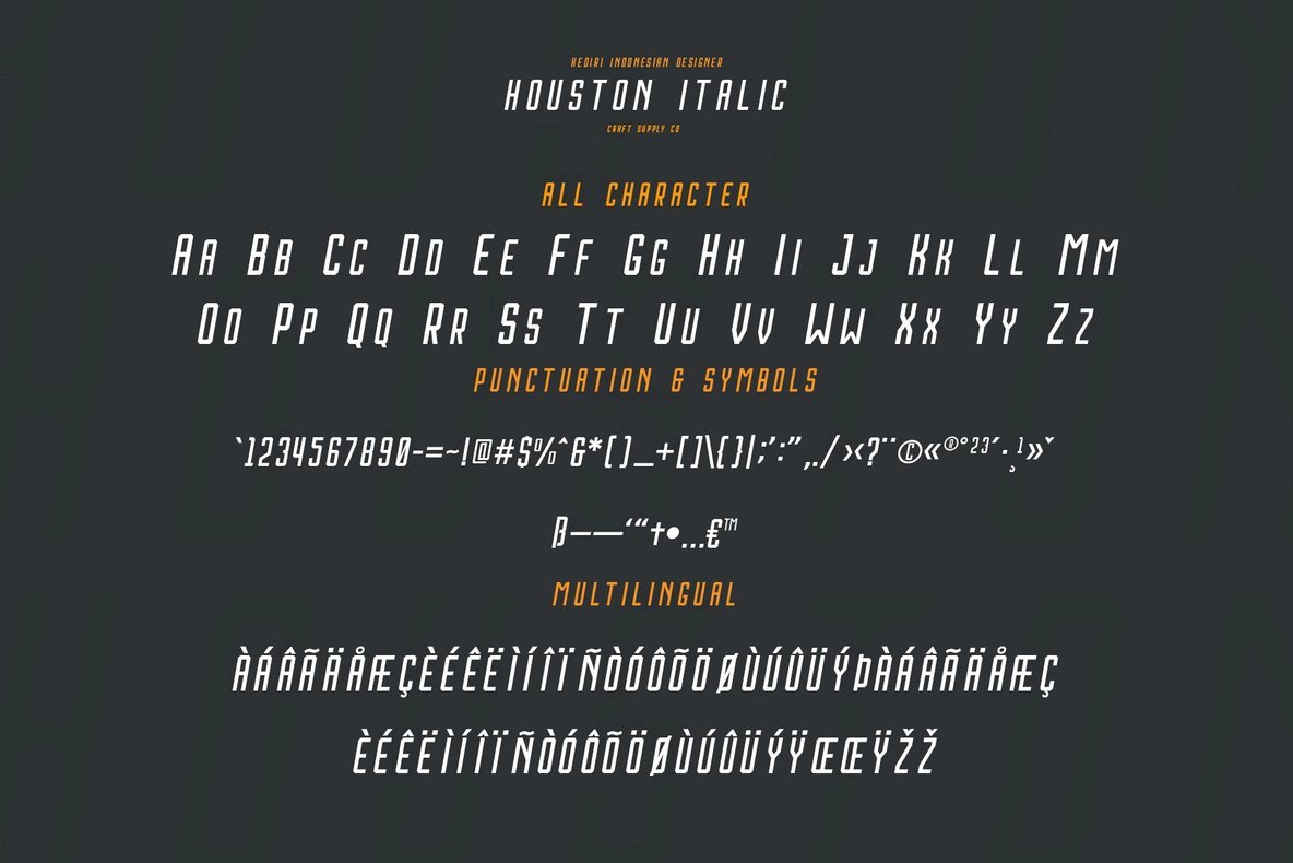 Houston Italic Font Family 4