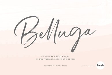Belluga Script