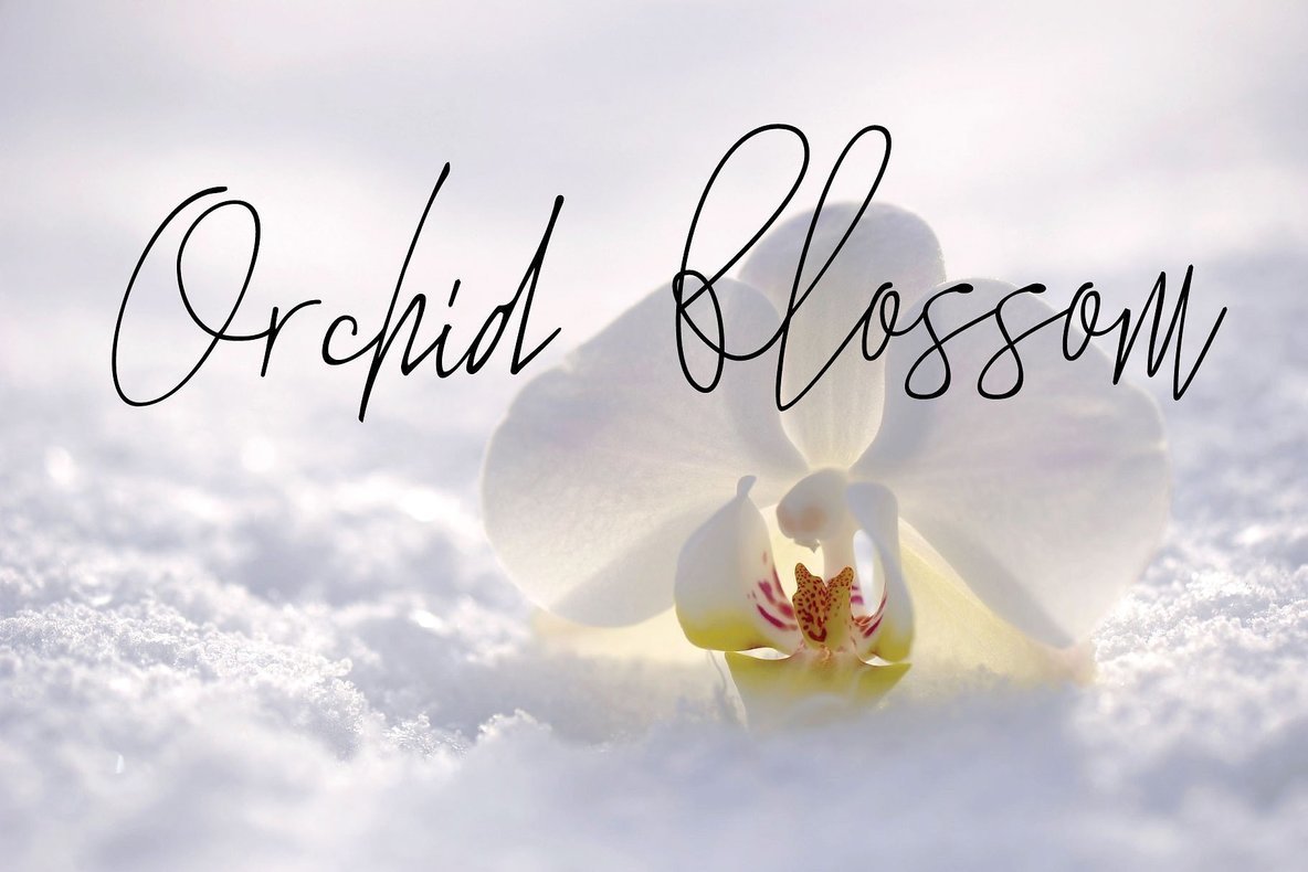 The Standing still 2