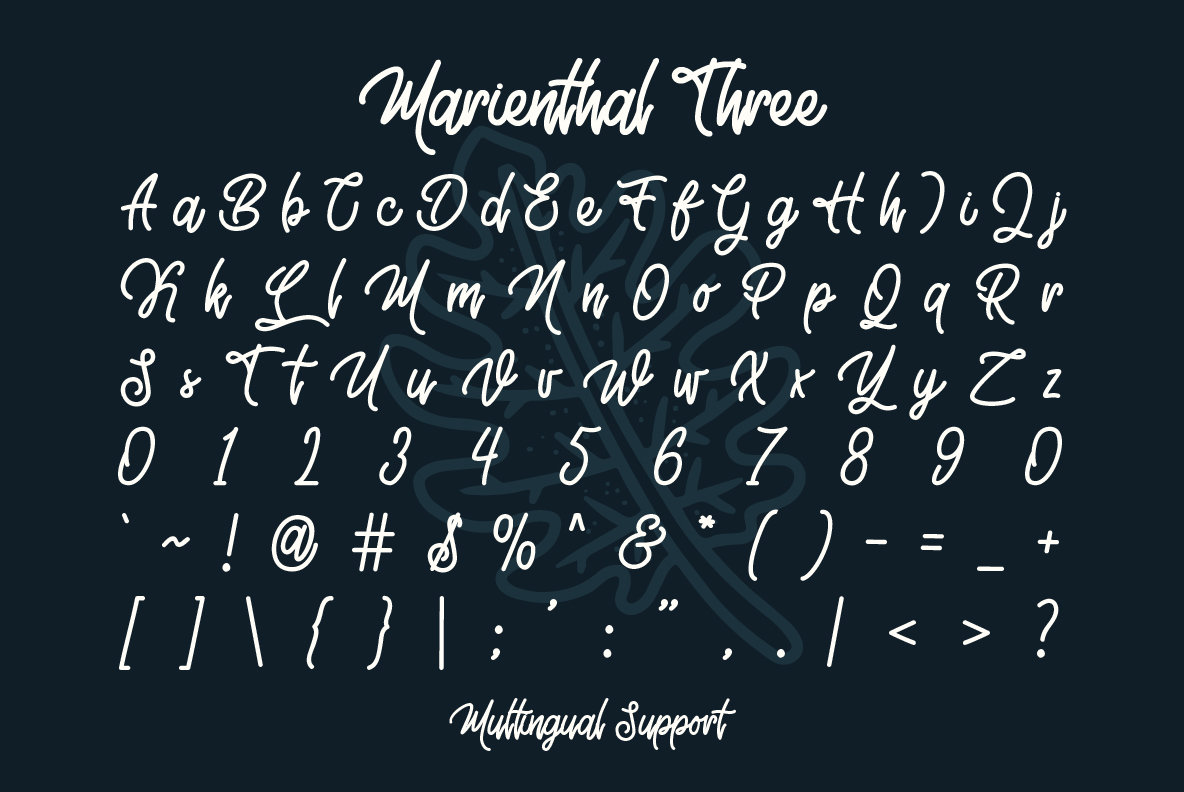 Marienthal Font Bundle 6