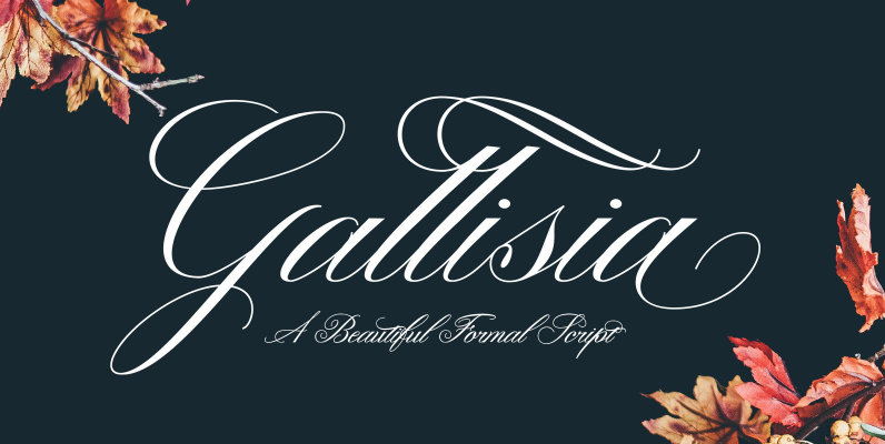 Gallisia Script