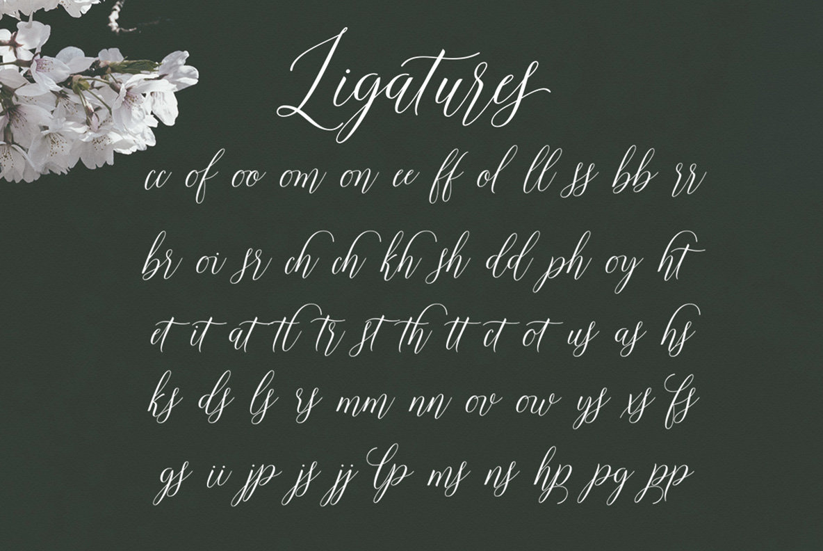 Shirelda Script Shirelda Script