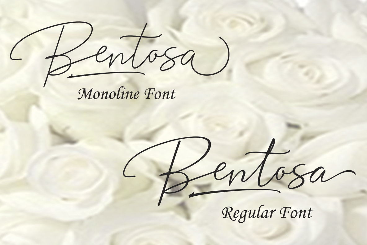 Bentosa Script Bentosa Script