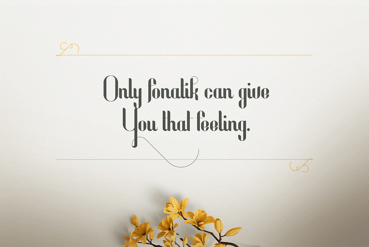 Fonatik Display Font and Extras Fonatik Display Font and Extras