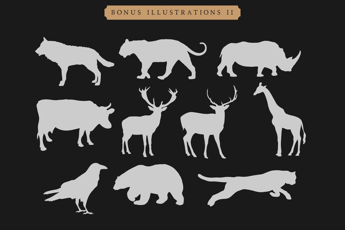 Road Race and Extras 8