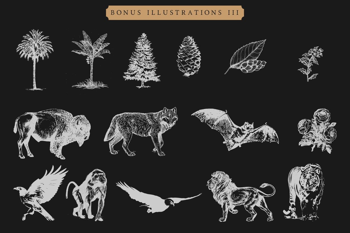 Road Race and Extras 9