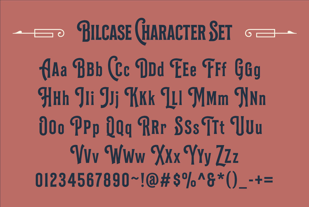 Bilcase 4