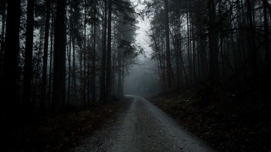 Dark Forest Path