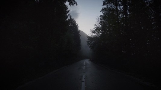 Dark Forest Road