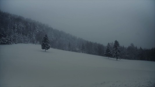 Snowfall 13