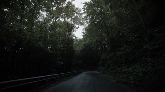 Nomad Wet Forest Road