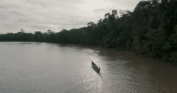Amazon rainforest aerial 2