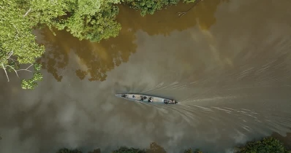 Amazon rainforest aerial 4