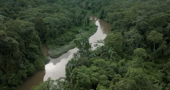 Amazon rainforest aerial 9