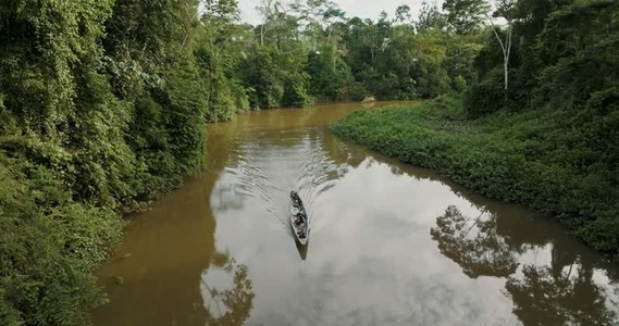 Amazon rainforest aerial 7
