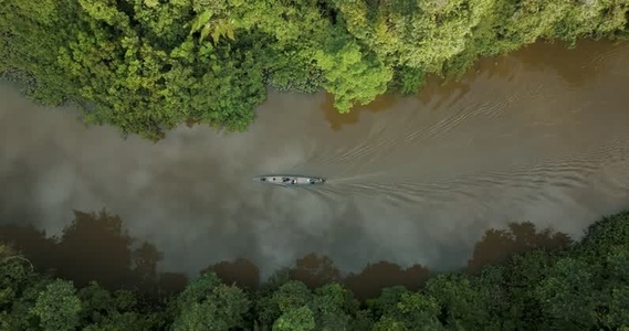 Amazon rainforest aerial 6