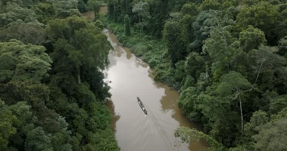 Amazon rainforest aerial 11