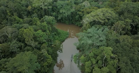 Amazon rainforest aerial 13