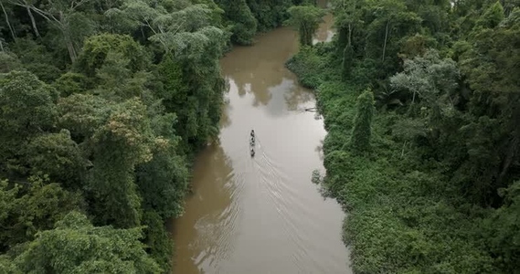 Amazon rainforest aerial 10