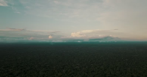 Amazon rainforest aerial 14