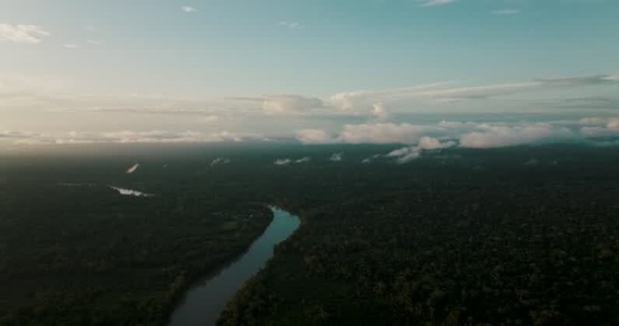 Amazon rainforest aerial 17