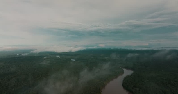 Amazon rainforest aerial 18