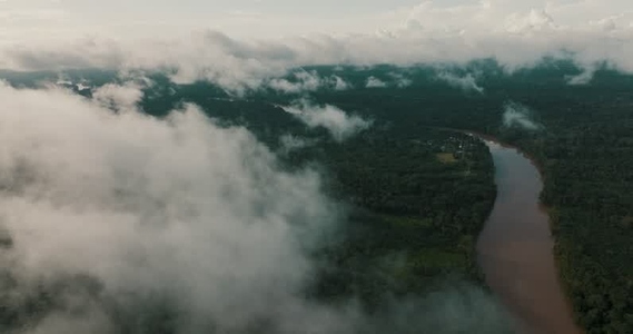 Amazon rainforest aerial 19