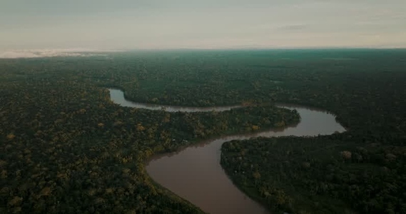 Amazon rainforest aerial 15