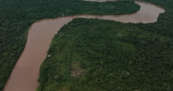 Amazon rainforest aerial 30
