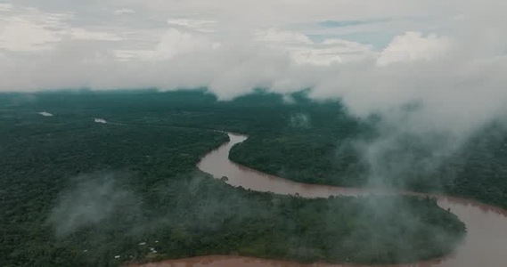 Amazon rainforest aerial 29