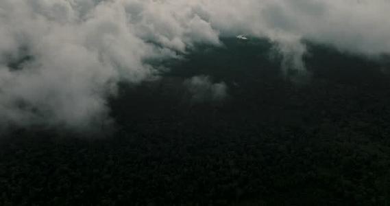 Amazon rainforest aerial 24