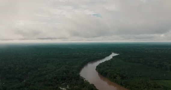 Amazon rainforest aerial 27