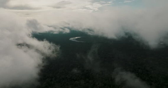 Amazon rainforest aerial 21
